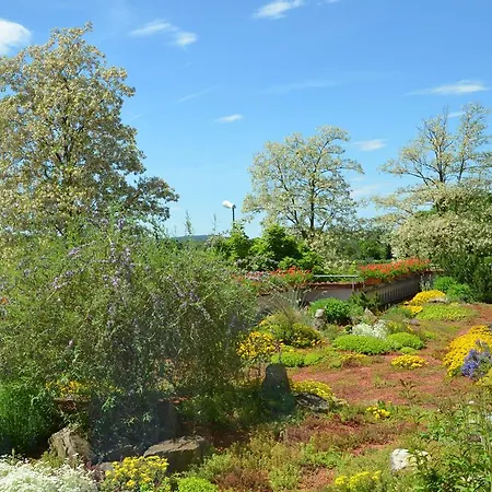 飞克尔酒店 Ehningen