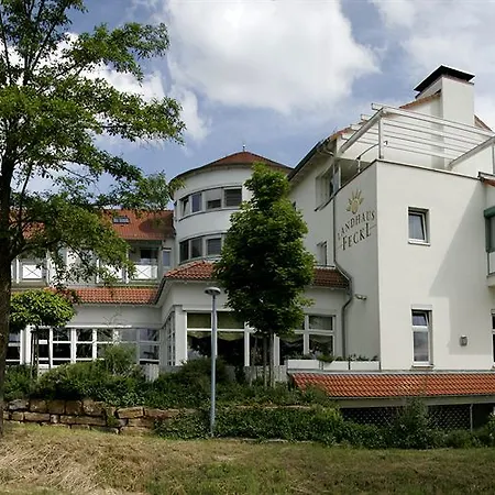 飞克尔酒店 4* Ehningen